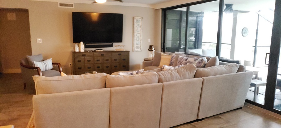 Living Room Television